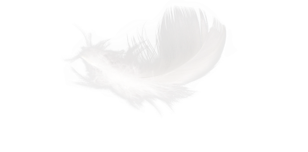 From Trauma To Connection logo